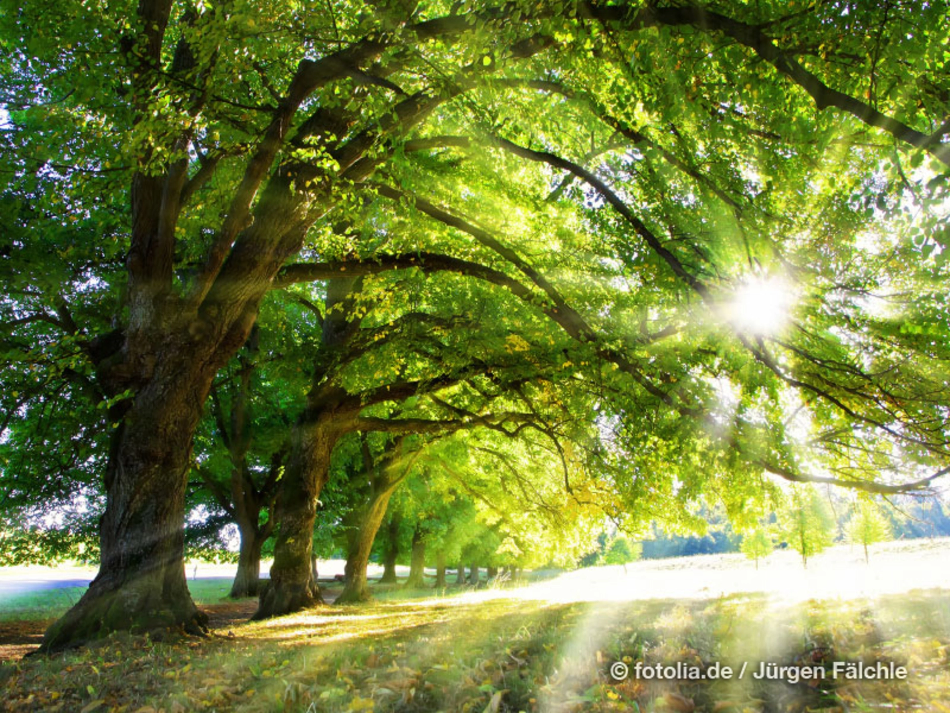 Die Geheimnisse des Erfolgs. (Foto: © Jürgen Fälchle/Fotolia.com)