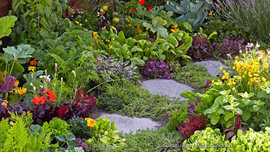 Die Kombination von Zier- und Nutzpflanzen sieht nicht nur optisch schön aus, sie ist für einen nachhaltigen Garten auch sinnvoll. So bilden sich vielfältige Lebensgemeinschaften aus Pflanzen und Tieren. (Foto: © Garden Guru / stock.adobe.com) Garten mit Blumen und Nutzpflanzen