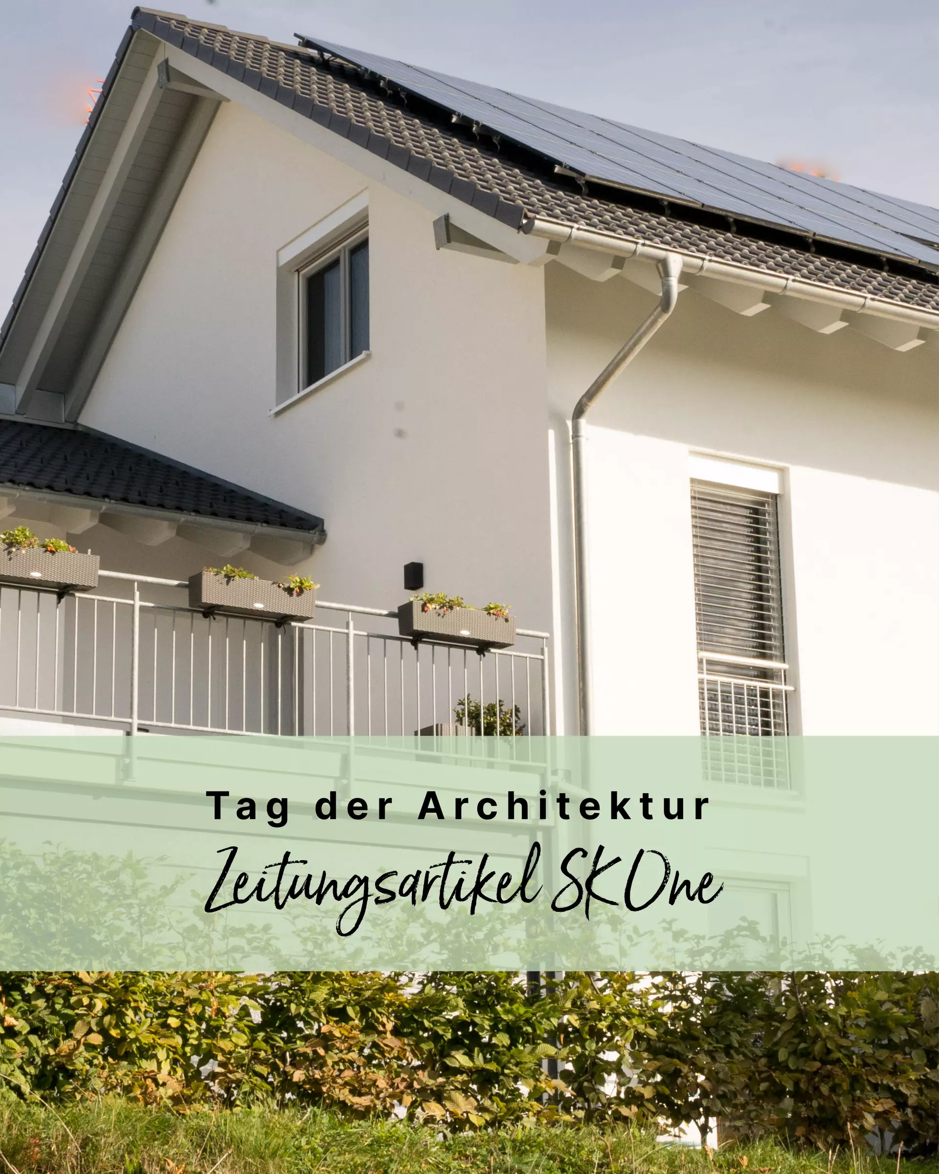 Artikel-Bild