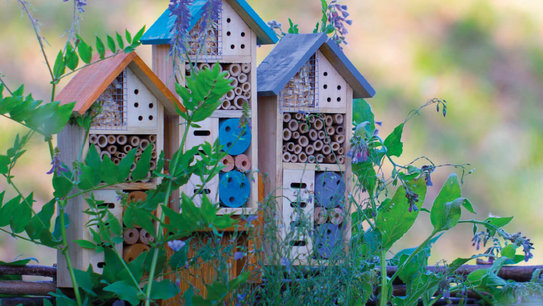 Insektenhotels im Fliederbusch