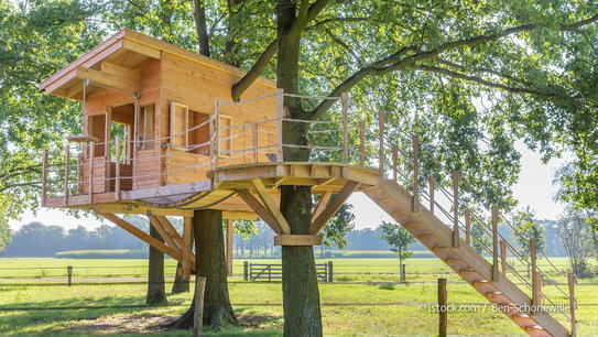 Baumhaus mit Treppe