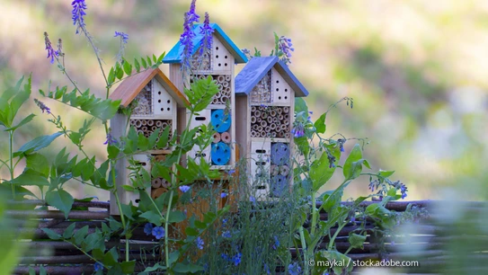 Drei Insektenhäuser