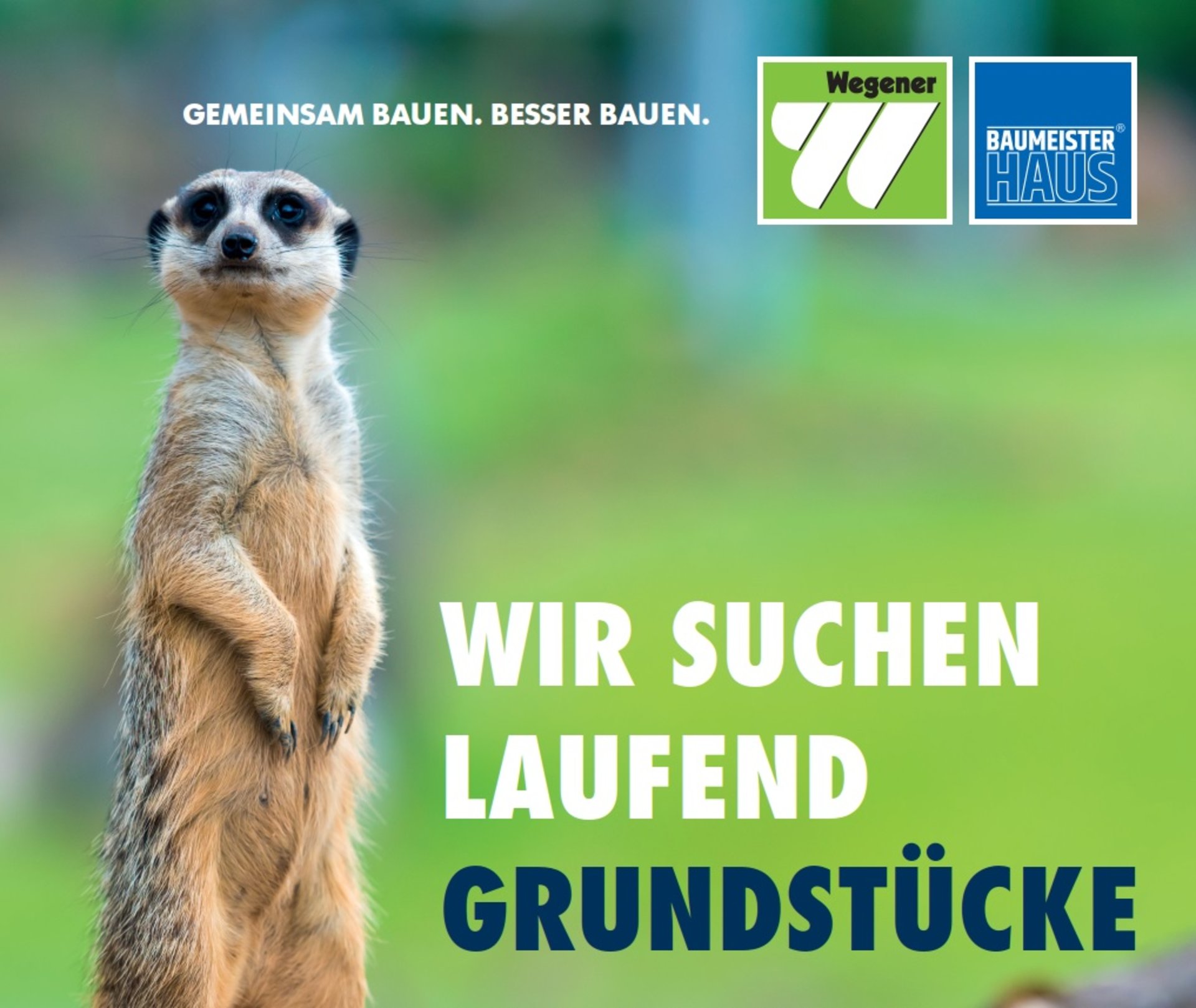 Artikel-Bild