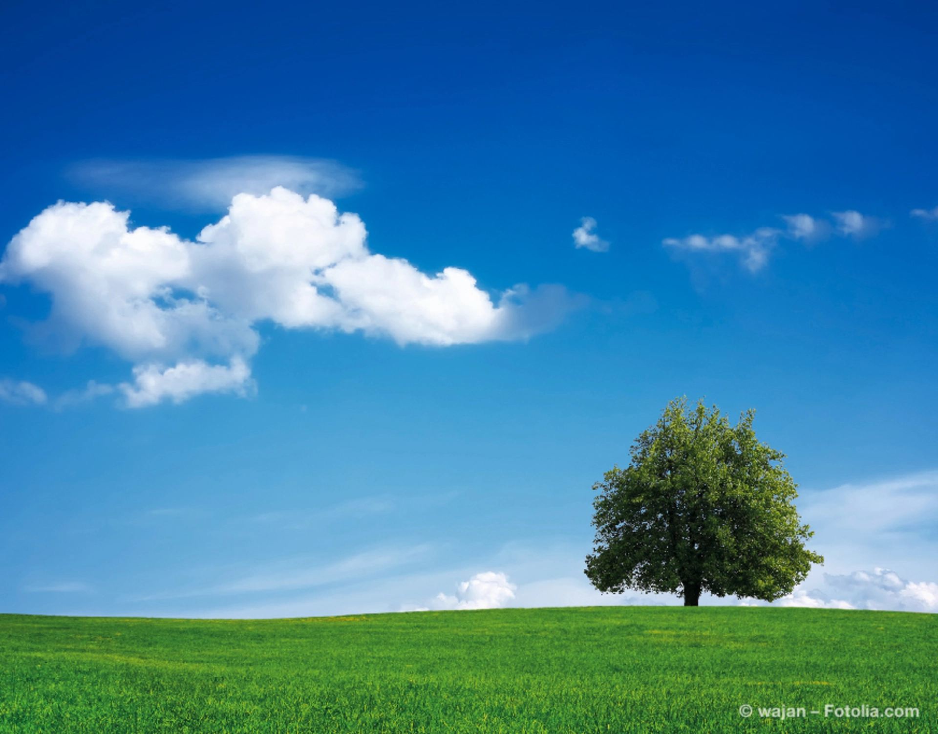 Energieeffizientes Wohnen ist nicht nur umweltfreundlich – es lohnt sich auch finanziell. (Foto: © wajan – Fotolia.com)