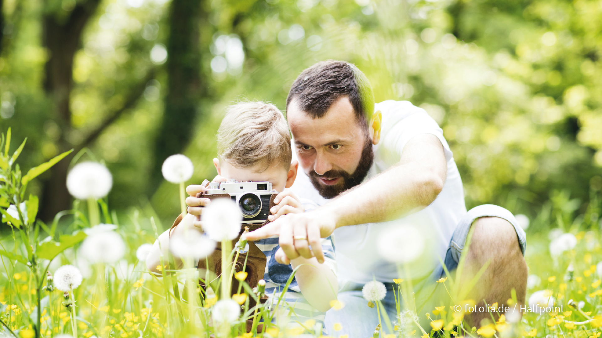 Die Natur erforschen. Vater und Sohn fotografieren Bienen auf der Wiese.