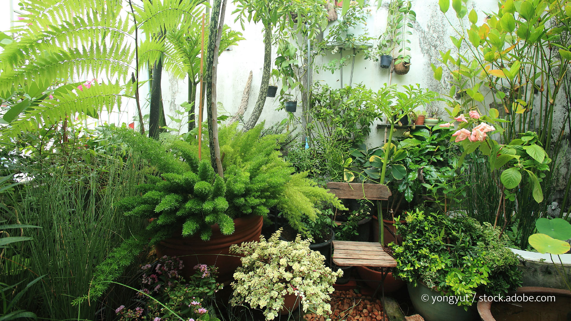 Terrasse mit vielen Pflanzen in Behältern
