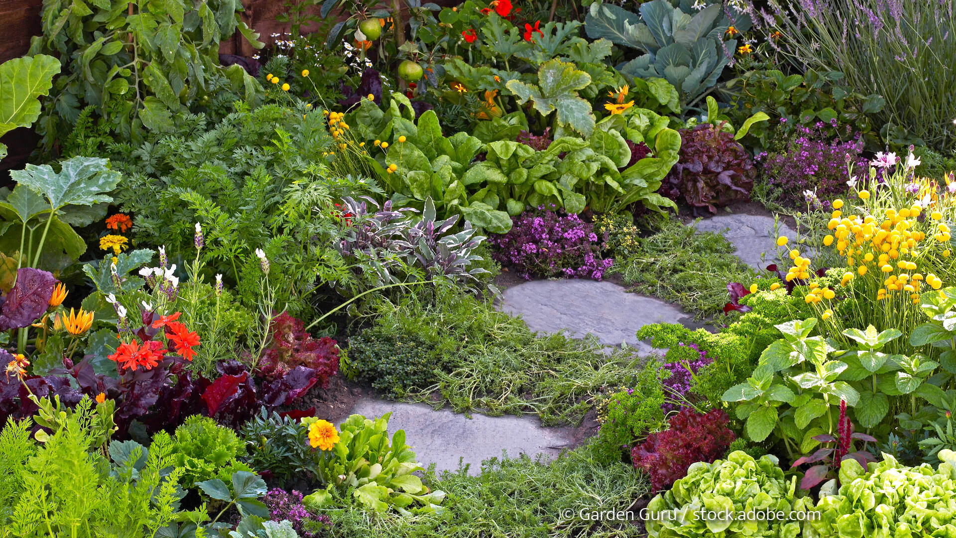 Die Kombination von Zier- und Nutzpflanzen sieht nicht nur optisch schön aus, sie ist für einen nachhaltigen Garten auch sinnvoll. So bilden sich vielfältige Lebensgemeinschaften aus Pflanzen und Tieren. (Foto: © Garden Guru / stock.adobe.com) Garten mit Blumen und Nutzpflanzen